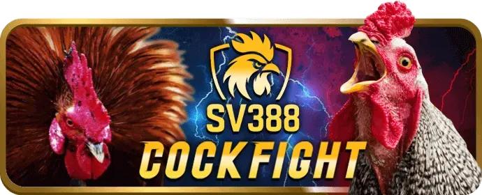 Chương trình VIP ok8363