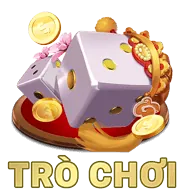 Huy hiệu VIP Bạch Kim