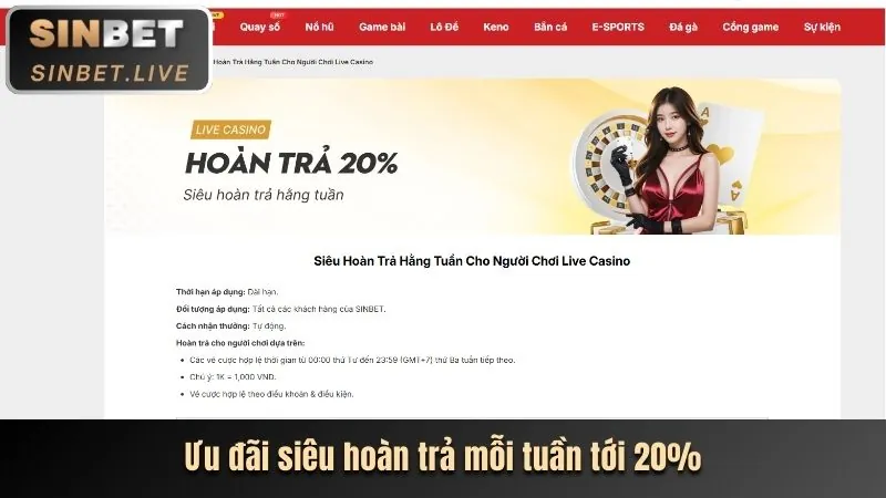 Các chương trình khuyến mãi và ưu đãi độc quyền tại ok8363